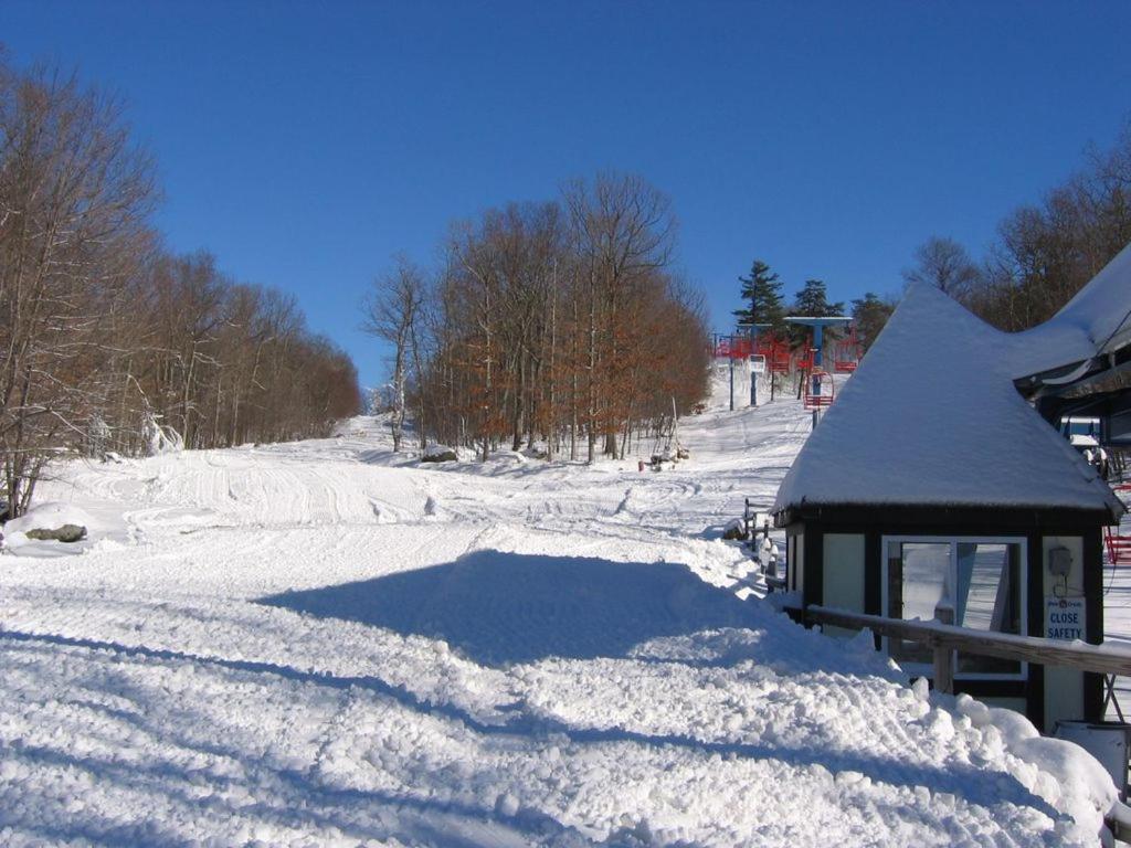 Saw Creek Cabin - Regent Hilltop Bushkill Exterior foto